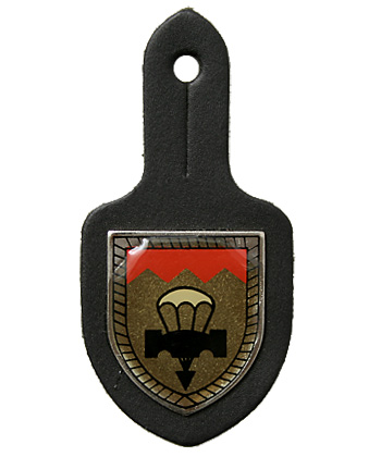 上品】 ＢＷドイツ軍/連邦軍＊山岳部隊＊車両用バッジ/ペーパー