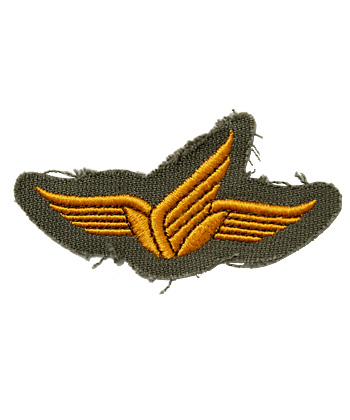 BWドイツ軍/連邦軍＊空軍＊1957制定＊パラシュート/降下猟兵章