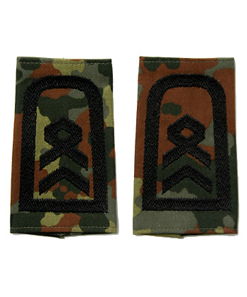 �ɥ��� BW (ϢˮΦ��)���������դ��ڰӡ��ե�å����⸪��/��ʪ��̤����