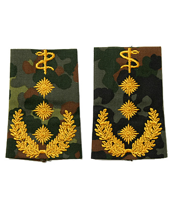 �ɥ��� BW (Ϣˮ��)���������ե�å����⸪��/��ʪ��̤����