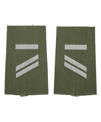 �ɥ��� BW (ϢˮΦ��)��������ǽʼ�����������/��ʪ��̤����