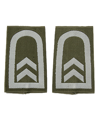 �ɥ��� BW (ϢˮΦ��)�������Ĺ�����������/��ʪ��̤����