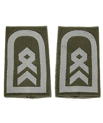 �ɥ��� BW (ϢˮΦ��)���������դ��ڰӡ����������/��ʪ��̤����