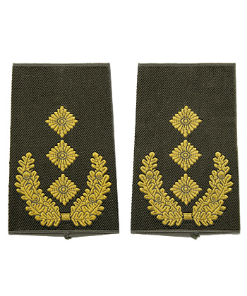 �ɥ��� BW (ϢˮΦ��)���澭������/��ʪ��̤����