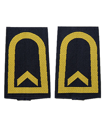 �ɥ��� BM(Ϣˮ����)����Ĺ������/��ʪ��̤����