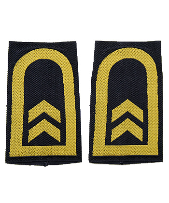 �ɥ��� BM(Ϣˮ����)�������Ĺ������/��ʪ��̤����