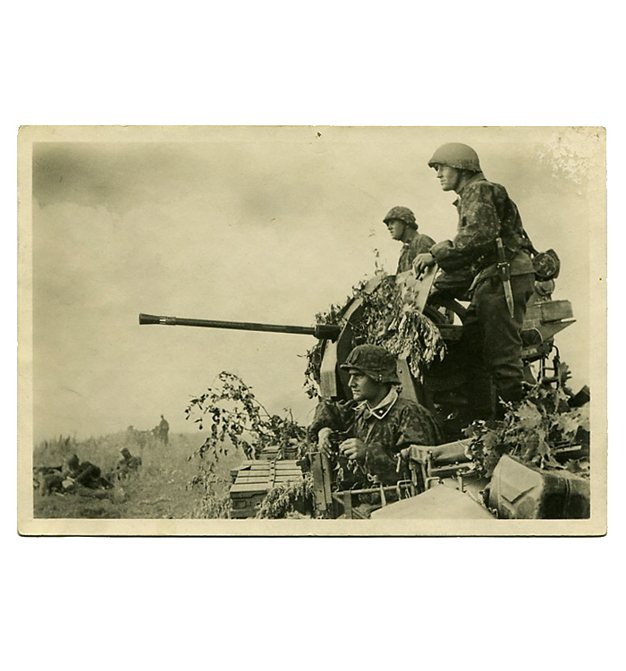 WWII ɥķݥȥ(W-SS)/ʪ