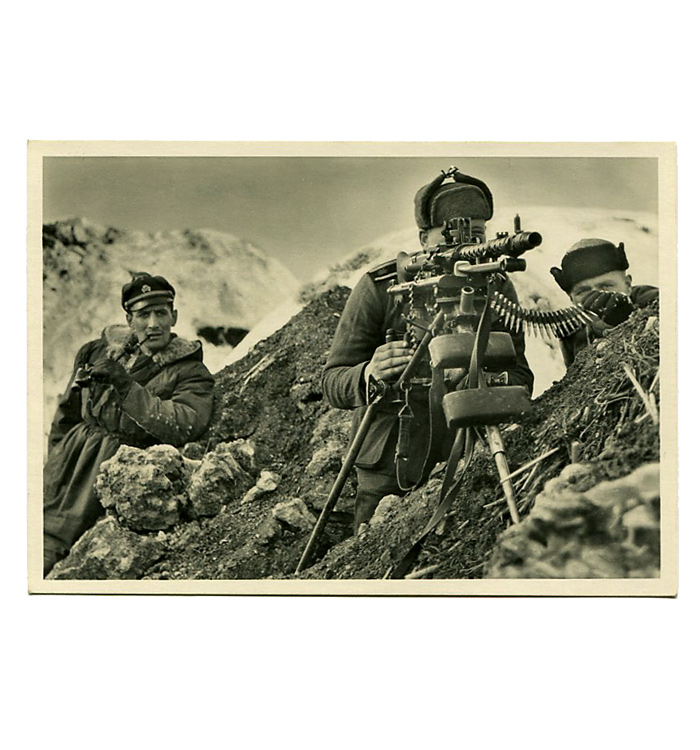 WWII �ɥ��ķ�������ݥ��ȥ�����(W-SS)/��ʪ������