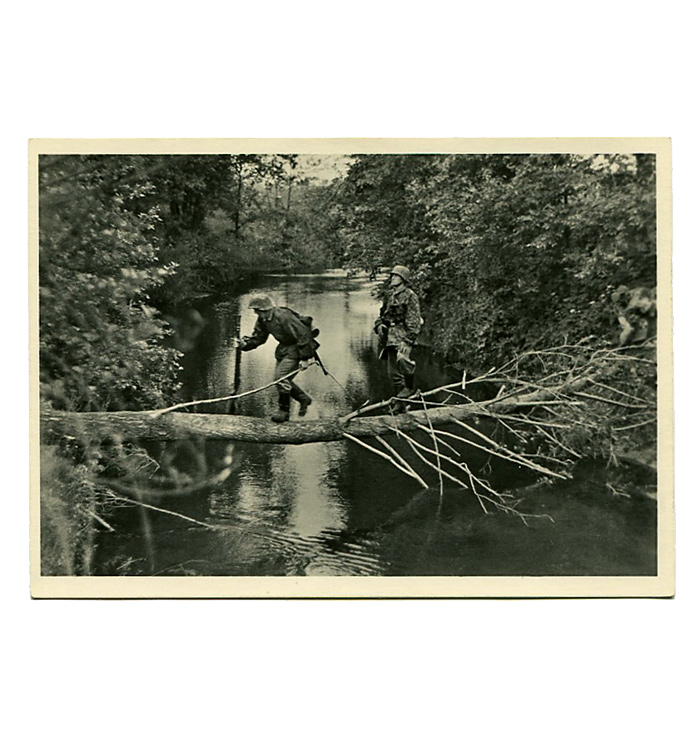 WWII �ɥ��ķ�������ݥ��ȥ�����(W-SS)/��ʪ������