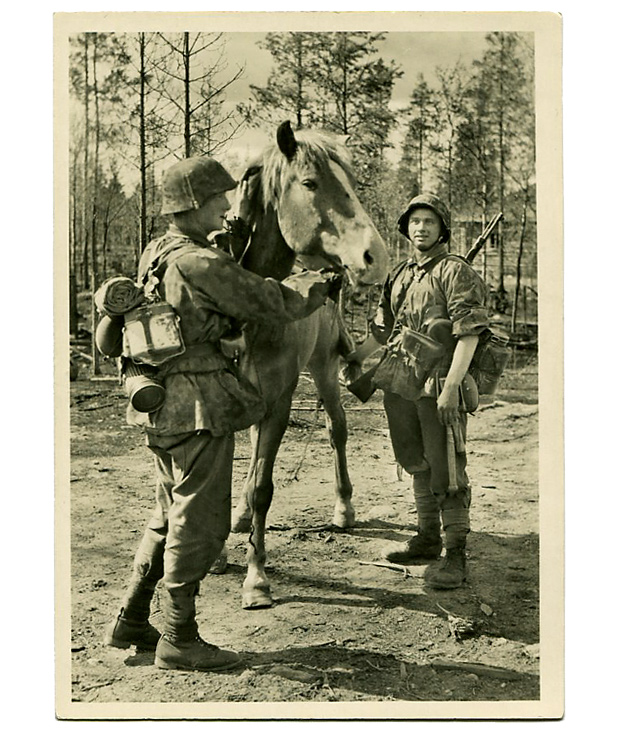 WWII ɥķݥȥ(W-SS)/ʪ