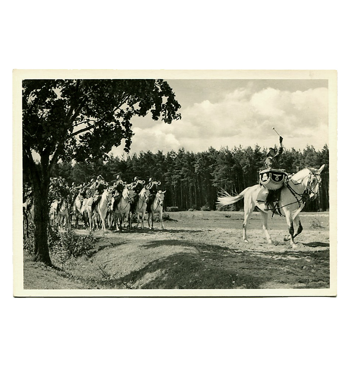 WWII ɥķݥȥ(W-SS)/ʪ