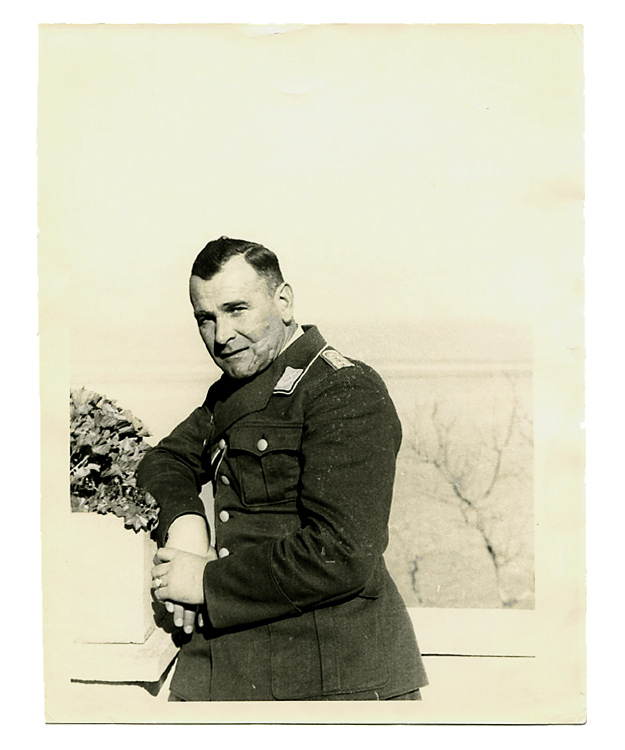 WWII �ɥ��ķ�������̿�/��ʪ������